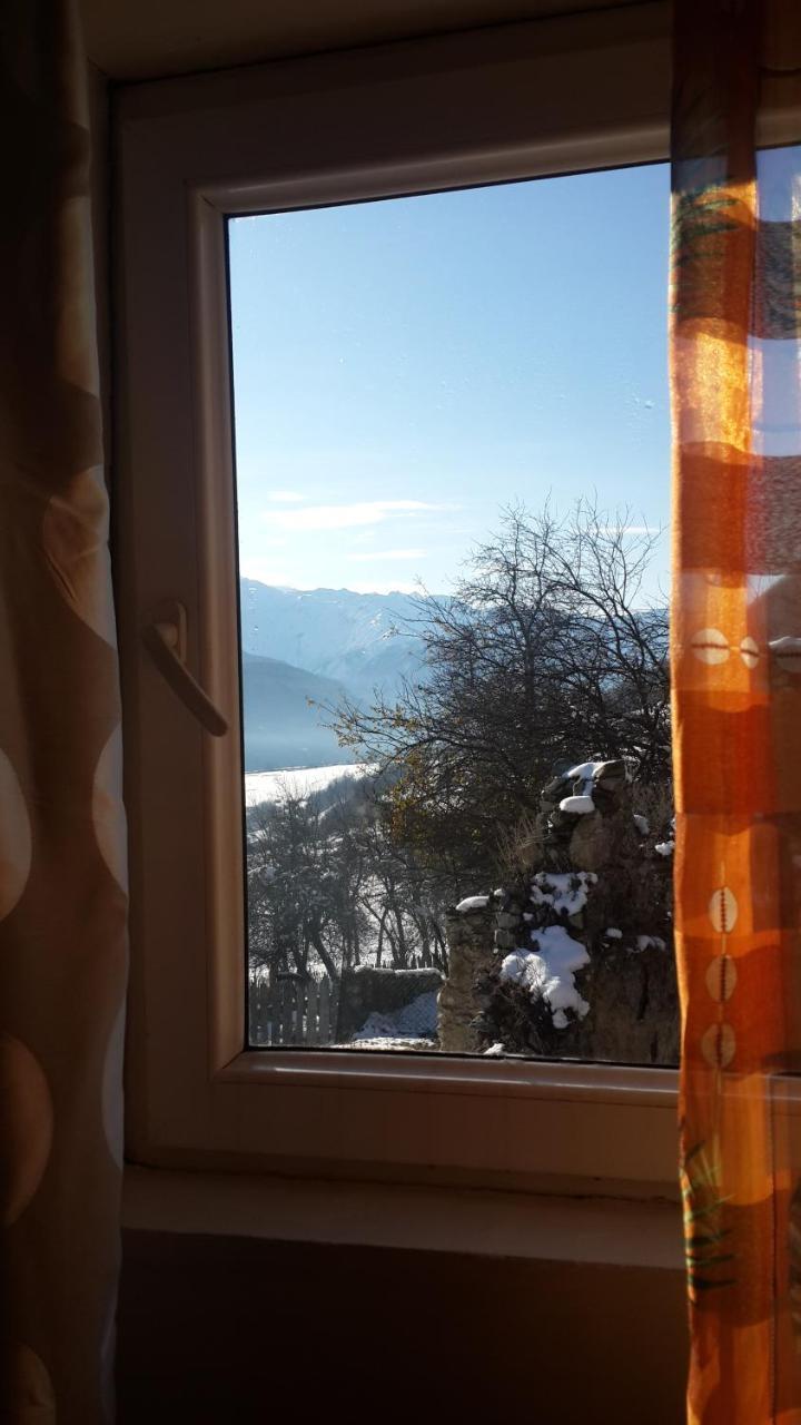 Irina Lextagi Hotel Mestia Luaran gambar